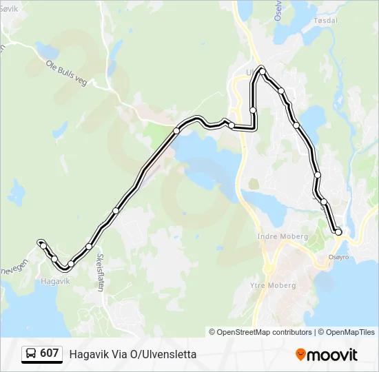 607 Bus Line Map
