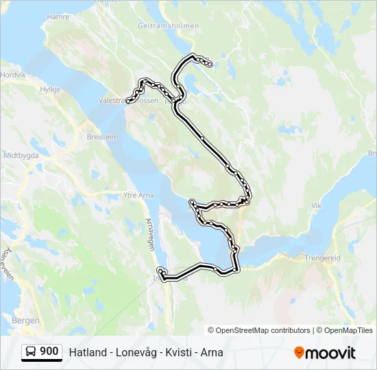 900 buss Linjekart