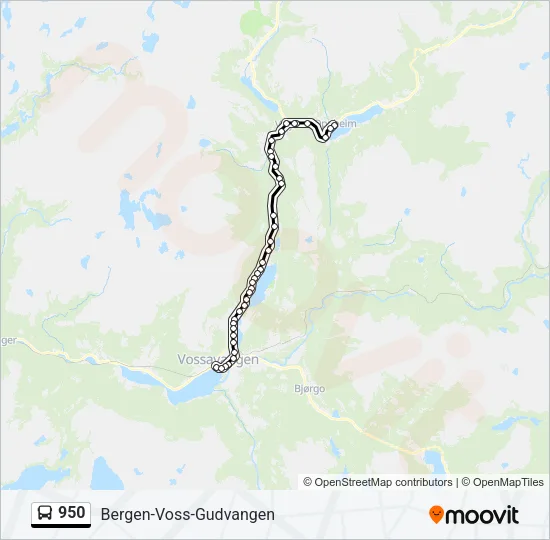 950 Bus Line Map