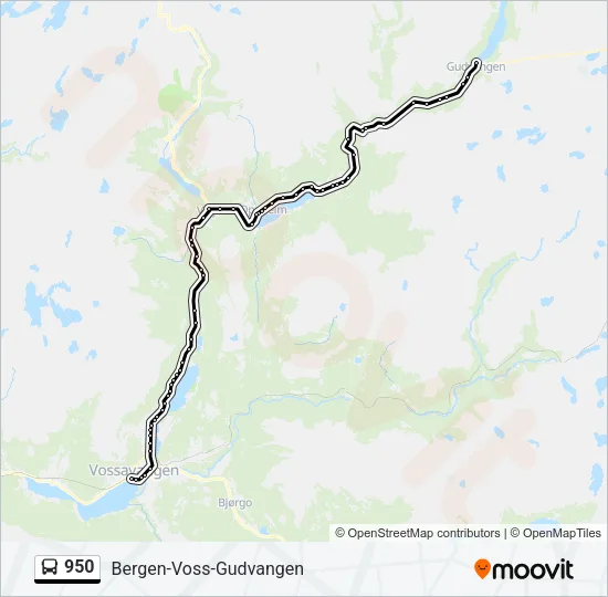 950 Bus Line Map