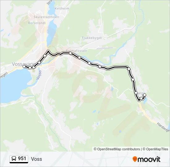 951 Bus Line Map