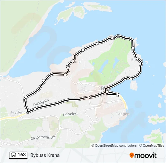 163 Bus Line Map