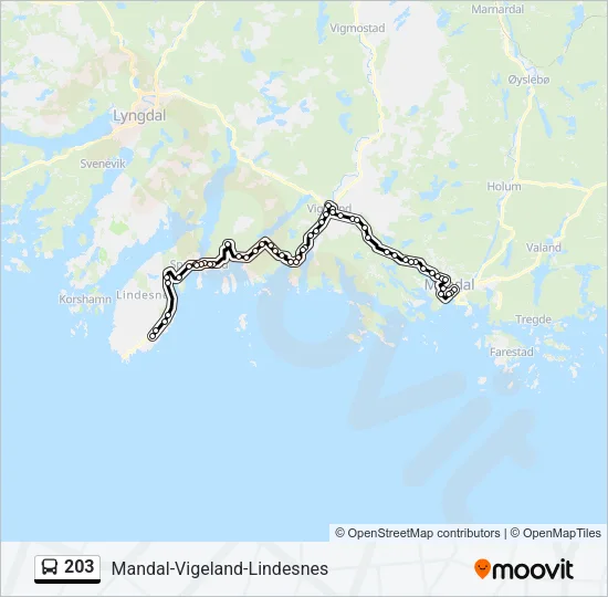 203 Bus Line Map