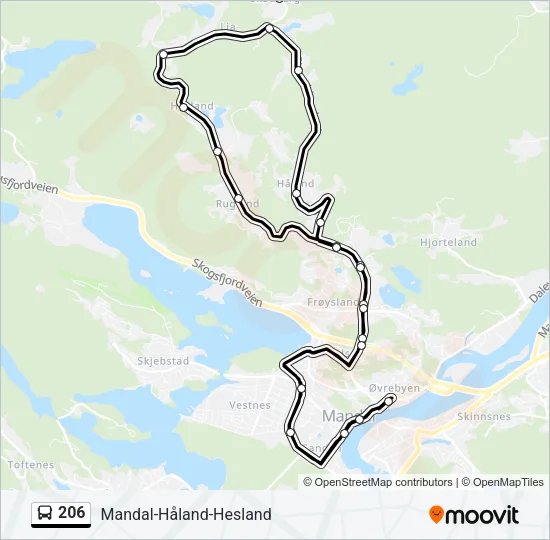 206 Bus Line Map