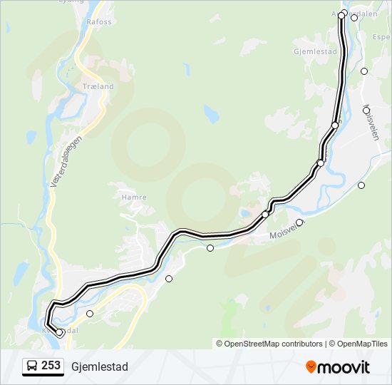 253 bus Line Map