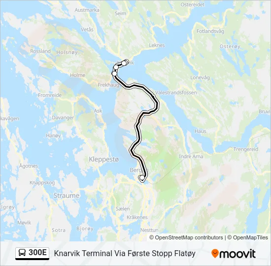 300E Bus Line Map