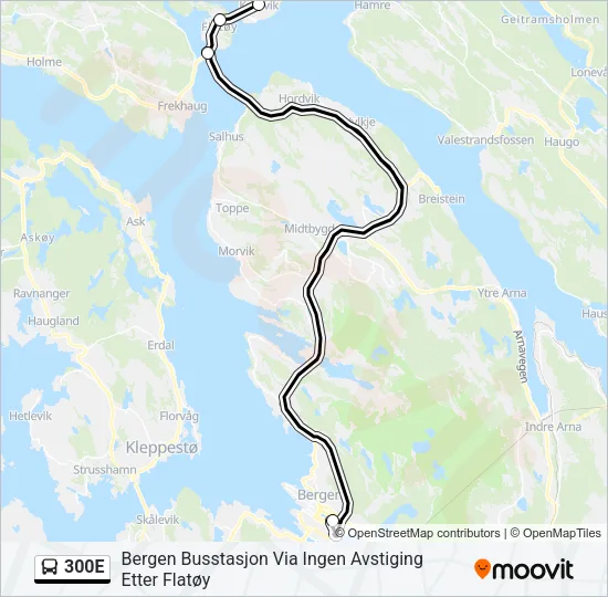 300E Bus Line Map