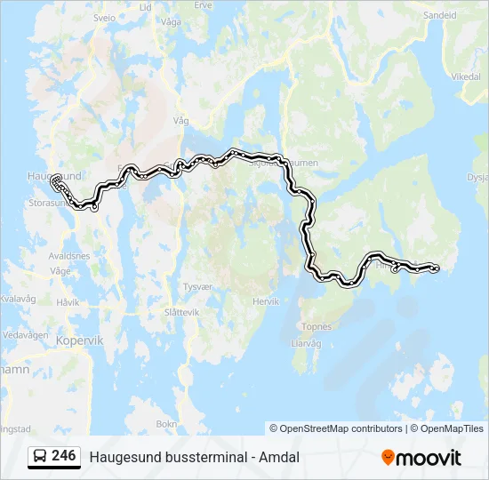246 Bus Line Map