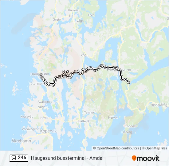 246 Bus Line Map