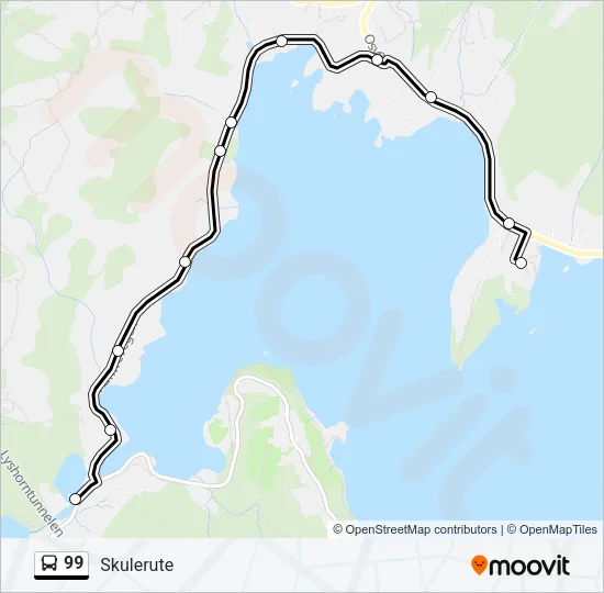 99 Bus Line Map