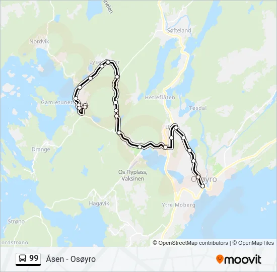 99 Bus Line Map