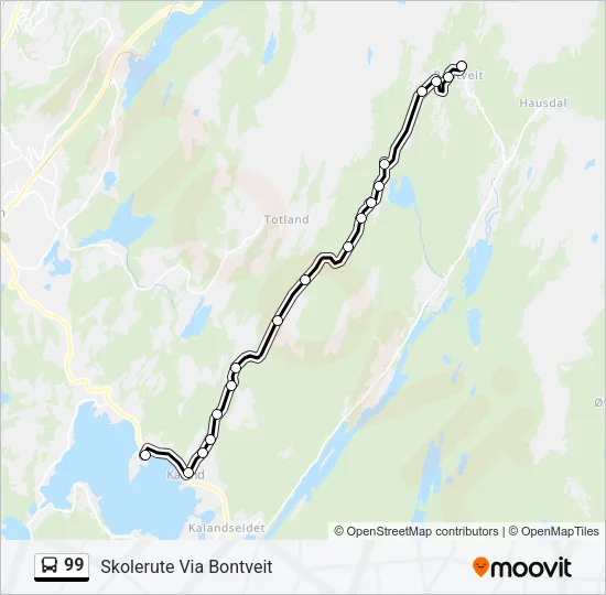 99 Bus Line Map