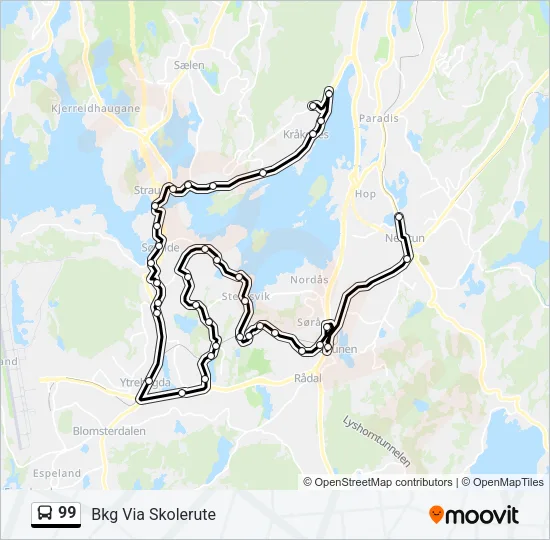 99 Bus Line Map