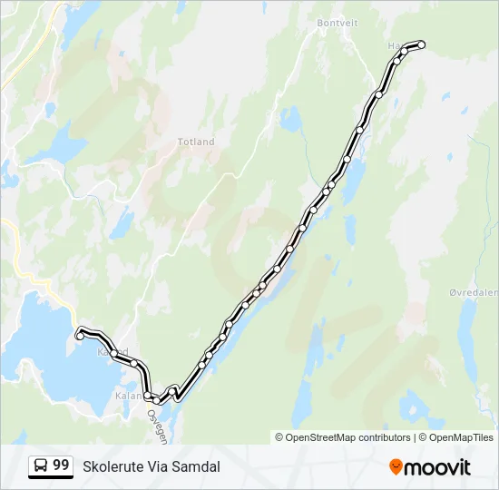 99 Bus Line Map