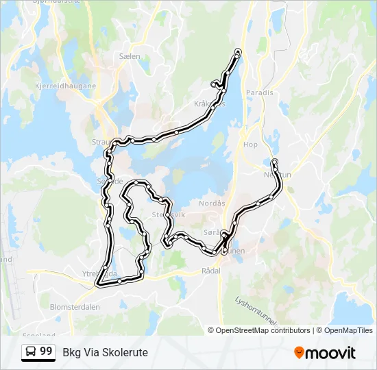 99 Bus Line Map