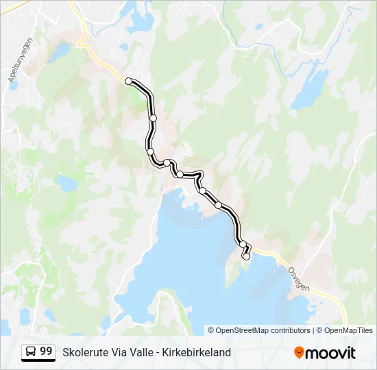 99 Bus Line Map
