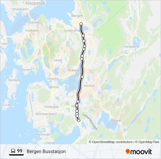 99 Bus Line Map