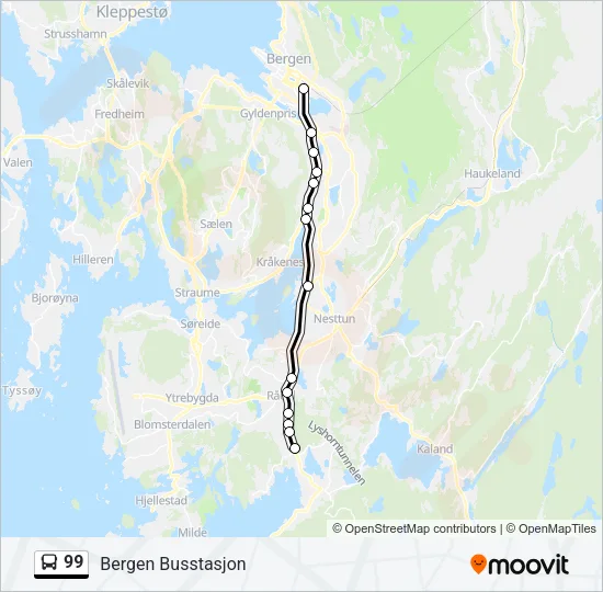 99 Bus Line Map