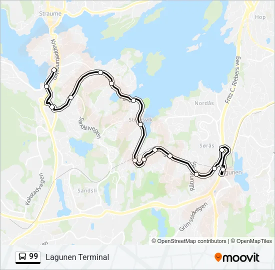 99 Bus Line Map