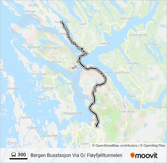 300 Bus Line Map