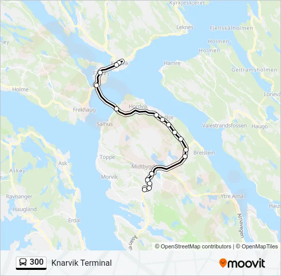 300 Bus Line Map
