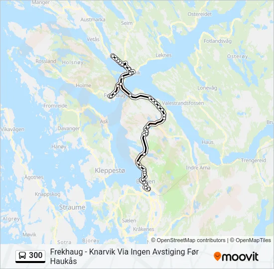 300 Bus Line Map
