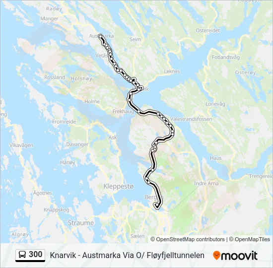 300 Bus Line Map