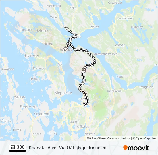 300 Bus Line Map