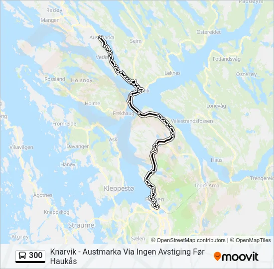 300 Bus Line Map