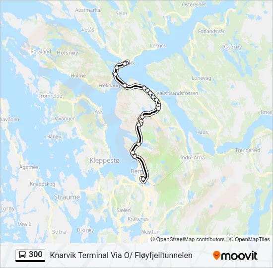 300 Bus Line Map