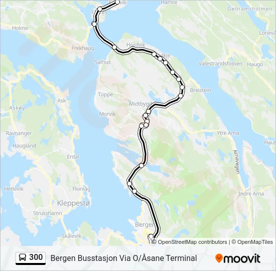300 Bus Line Map