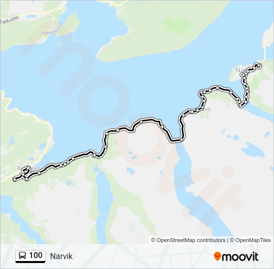 100 Bus Line Map
