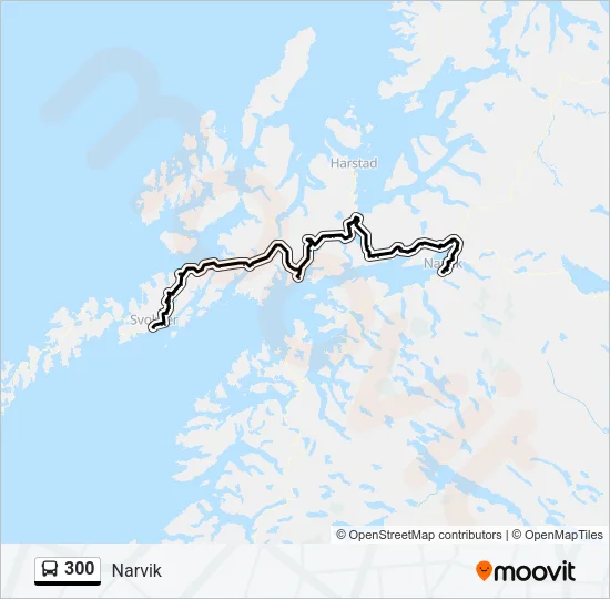 300 Bus Line Map