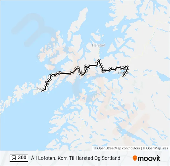 300 Bus Line Map