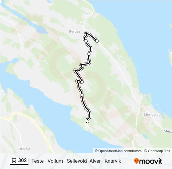 302 Bus Line Map