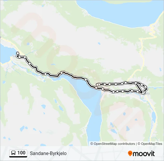 100 buss Linjekart