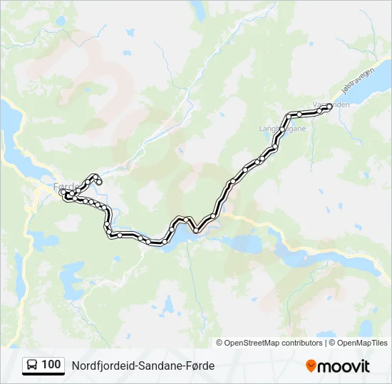 100 buss Linjekart