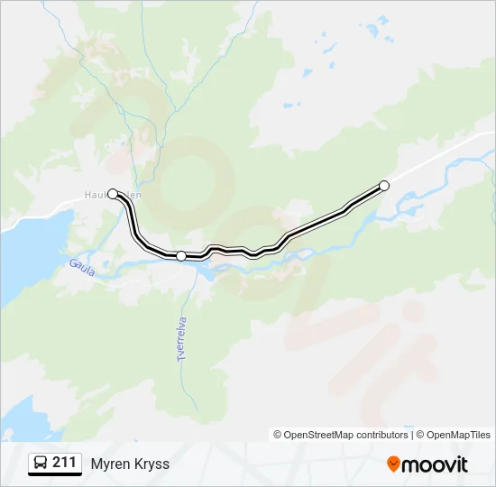 211 Bus Line Map