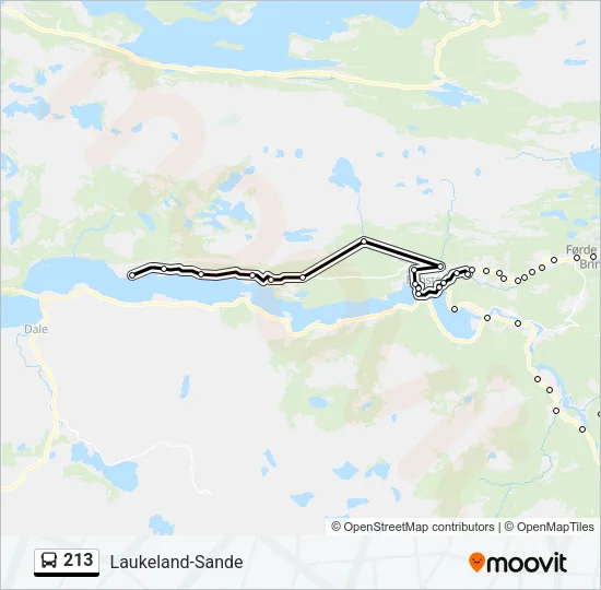 213 Bus Line Map