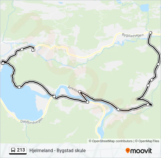 213 Bus Line Map
