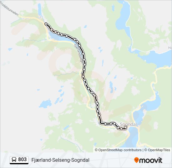803 Bus Line Map