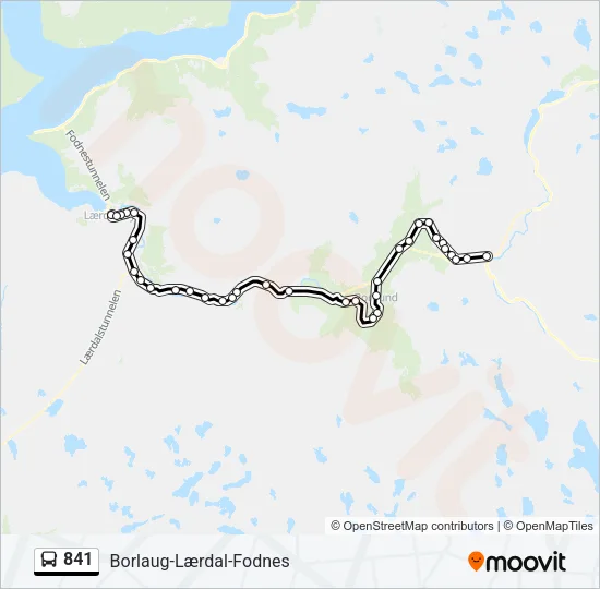 841  Line Map