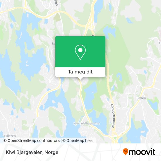 Kiwi Bjørgeveien kart