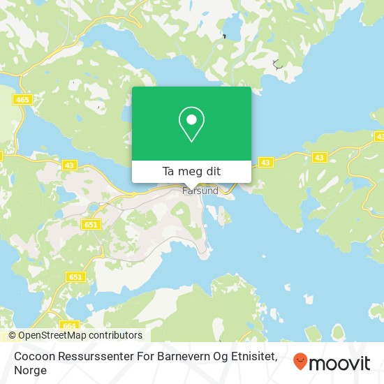 Cocoon Ressurssenter For Barnevern Og Etnisitet kart