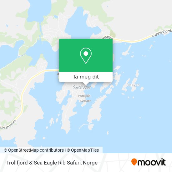 Trollfjord & Sea Eagle Rib Safari kart