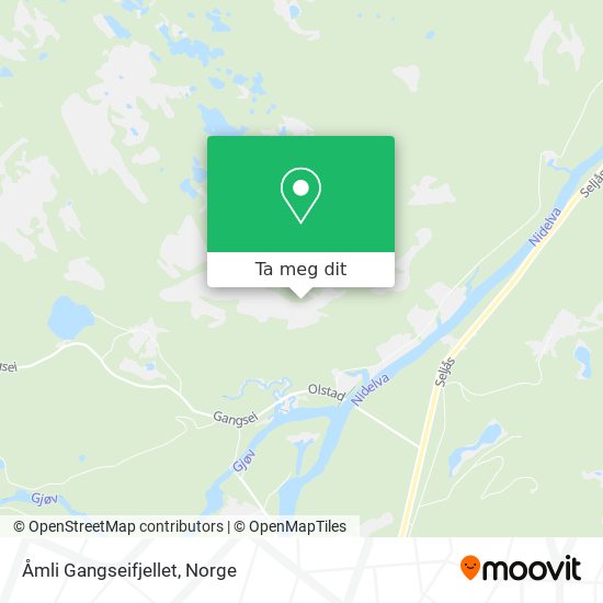 Åmli Gangseifjellet kart