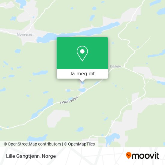 Lille Gangtjønn kart