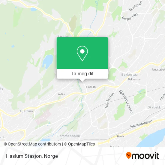 Haslum Stasjon kart