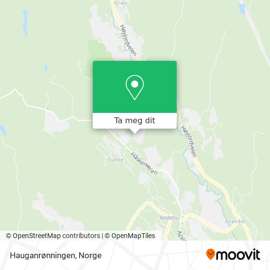 Hauganrønningen kart