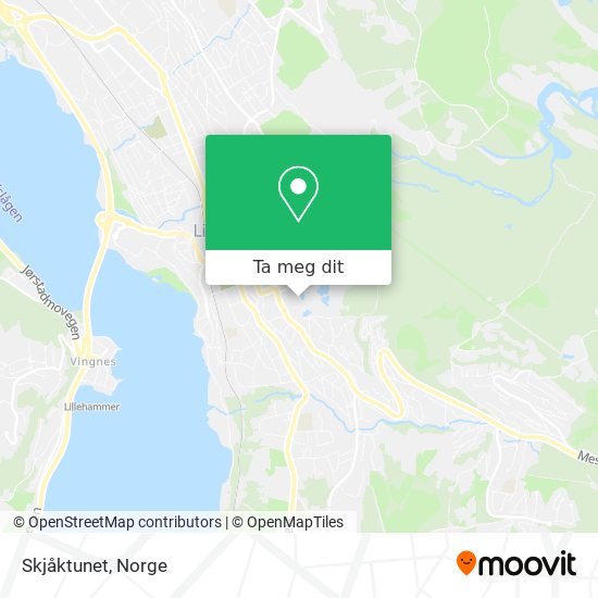 Skjåktunet kart